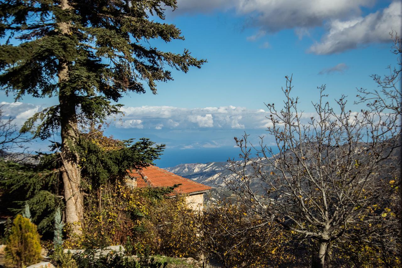 Anotopos Ano Trikala Esterno foto